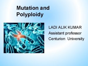 Mutation and Polyploidy LADI ALIK KUMAR Assistant professor