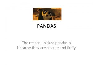 PANDAS The reason I picked pandas is because