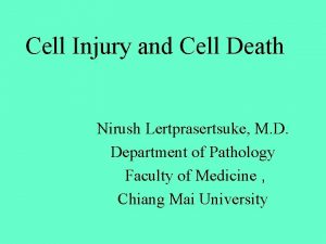 Cell Injury and Cell Death Nirush Lertprasertsuke M