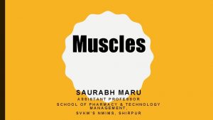 Muscles SAURABH MARU ASSISTANT PROFESSOR SCHOOL OF PHARMACY