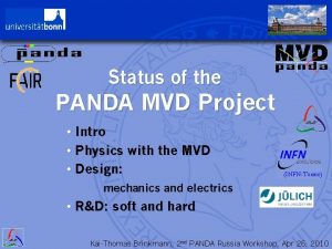 Status of the PANDA MVD Project Intro Physics