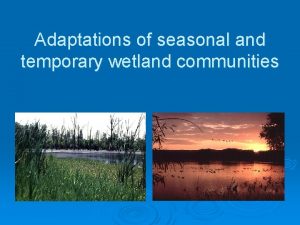 Adaptations of seasonal and temporary wetland communities Definitions