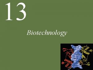 13 Biotechnology Chapter 13 Biotechnology Key Concepts 13