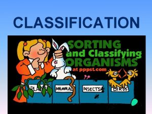 CLASSIFICATION What is Classification classification putting things into