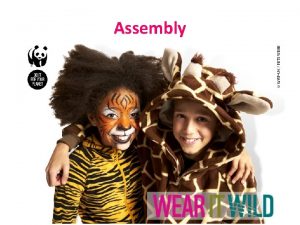 Assembly What is Wear it Wild Wear it