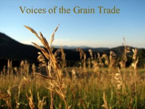 Voices of the Grain Trade Voices of the
