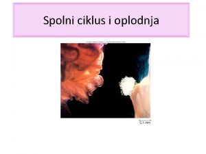 Spolni ciklus i oplodnja Spolni ciklus zbivanja kojima