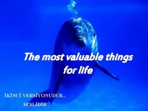 The most valuable things for life KNC VERSYONUDUR