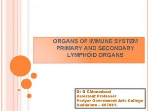 ORGANS OF IMMUNE SYSTEM PRIMARY AND SECONDARY LYMPHOID