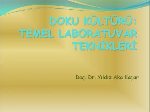 DOKU KLTR TEMEL LABORATUVAR TEKNKLER Do Dr Yldz