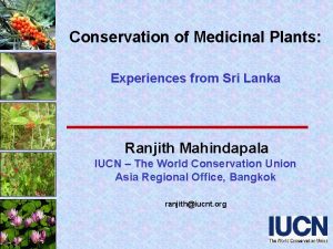 Conservation of Medicinal Plants Experiences from Sri Lanka