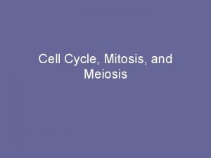 Cell Cycle Mitosis and Meiosis Cell Division and