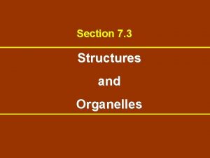 Section 7 3 Structures and Organelles An internal