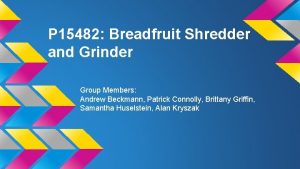 P 15482 Breadfruit Shredder and Grinder Group Members