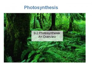 Photosynthesis 9 2 Photosynthesis An Overview Chlorophyll and