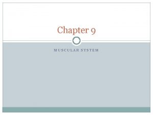 Chapter 9 MUSCULAR SYSTEM Functions of the Muscular