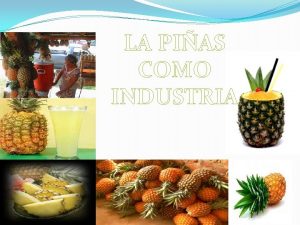 LA PIAS COMO INDUSTRIA INTRODUCCION Hay diferente grupos