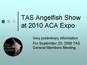 TAS Angelfish Show at 2010 ACA Expo Very