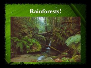 Rainforests What is a Rainforest Rainforests are very