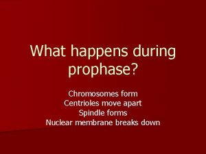 What happens during prophase Chromosomes form Centrioles move