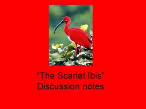 The Scarlet Ibis Discussion notes The narrator First