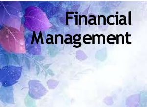 Financial Management Its Meaning Its Meaning The planning