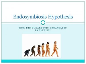 Endosymbiosis Hypothesis HOW DID EUKARYOTIC ORGANELLES EVOLVE Evolution