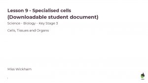 Lesson 9 Specialised cells Downloadable student document Science