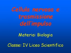 Cellula nervosa e trasmissione dellimpulso Materia Biologia Classe