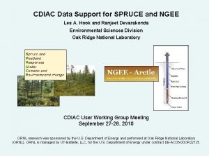 CDIAC Data Support for SPRUCE and NGEE Les