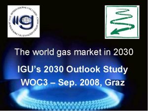 The world gas market in 2030 IGUs 2030
