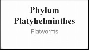 Phylum Platyhelminthes Flatworms Phylum Platyhelminthes Common name flat