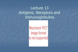 Lecture 13 Antigens Receptors and Immunoglobulins Antigenic Determinants
