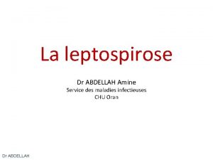 La leptospirose Dr ABDELLAH Amine Service des maladies