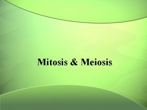 Mitosis Meiosis Why do cells divide rather than