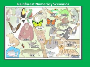 Rainforest Numeracy Scenarios Print the scenarios and laminate