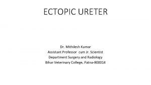 ECTOPIC URETER Dr Mithilesh Kumar Assistant Professor cum