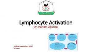 Lymphocyte Activation Dr Mariam Alomari Medical immunology M