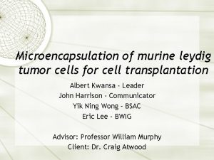 Microencapsulation of murine leydig tumor cells for cell