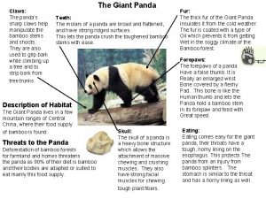 Claws The pandas sharp claws help manipulate the