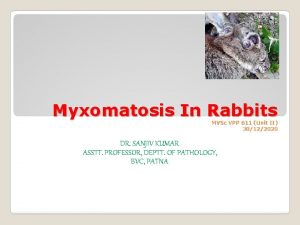 Myxomatosis In Rabbits MVSc VPP 611 Unit II