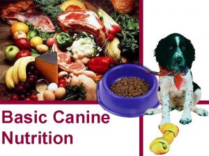 Basic Canine Nutrition 1 Objectives 1 To learn