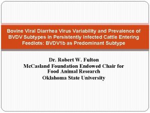 Bovine Viral Diarrhea Virus Variability and Prevalence of