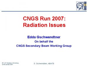 CNGS Run 2007 Radiation Issues Edda Gschwendtner On