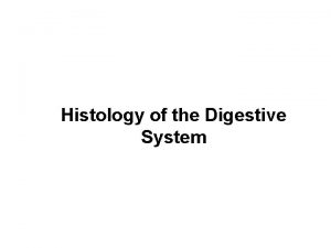 Histology of the Digestive System Same four layers