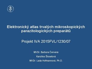 Elektronick atlas trvalch mikroskopickch parazitologickch prepart Projekt IVA