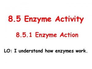 8 5 Enzyme Activity 8 5 1 Enzyme