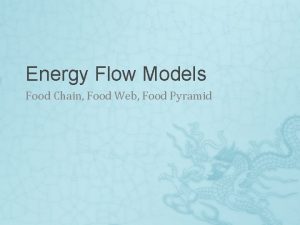 Energy Flow Models Food Chain Food Web Food