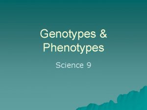 Genotypes Phenotypes Science 9 Genetics u The Study