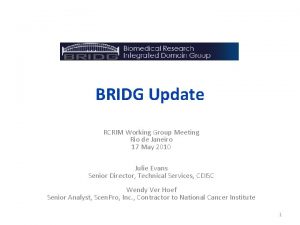 BRIDG Update RCRIM Working Group Meeting Rio de